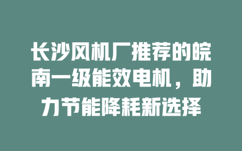 長沙風(fēng)機(jī)廠推薦的皖南一級能效電機(jī),助力節(jié)能降耗新選擇 一